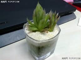 诺基亚515手机超长待机性能评测