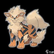 《宝可梦剑盾:风速狗全面解析与属性深度解读》