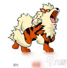 《宝可梦剑盾:风速狗全面解析与属性深度解读》