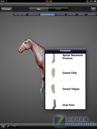 葛小舞的经济背景探究