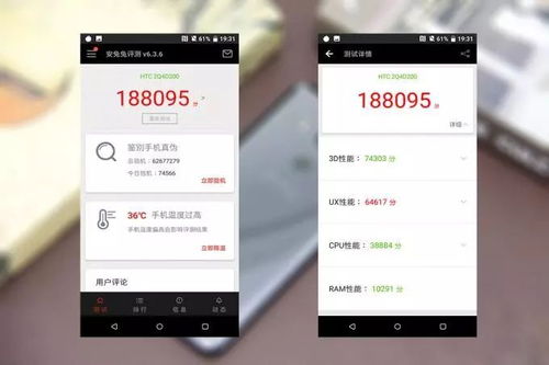 葛小舞的经济背景探究