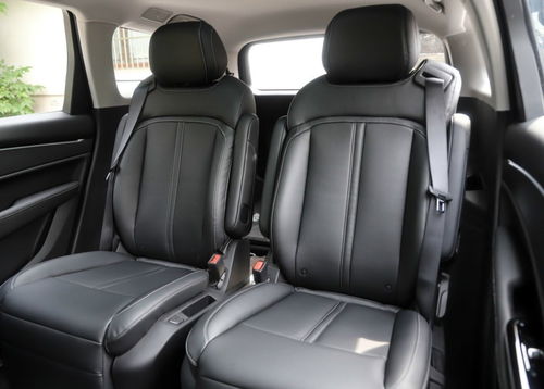 ！牙牙进化的神秘等级，你绝对想不到！