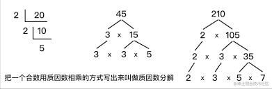 4565的质因数分解结果是什么？