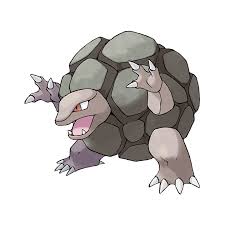 小拳石的进化之路