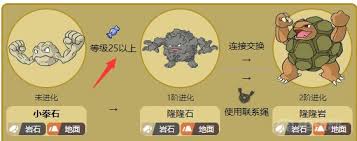 小拳石的进化之路