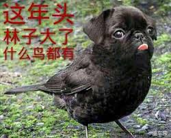 “什么什么都有”的真正含义!