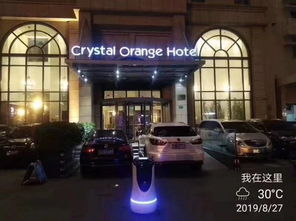 后宫大酒店:机器人秘籍与全攻略,解锁极致体