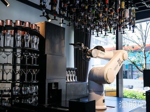 后宫大酒店:机器人秘籍与全攻略,解锁极致体