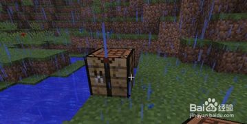 如何在《我的世界》中制作紫色染料?