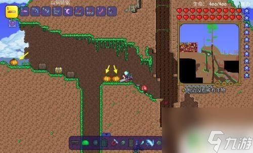 泰拉瑞亚新三王高爆打法！全面解析让你轻松击败远古三巨头