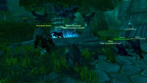 魔兽世界9.0攻略：深度解析暗夜精灵种族定制与天赋一览