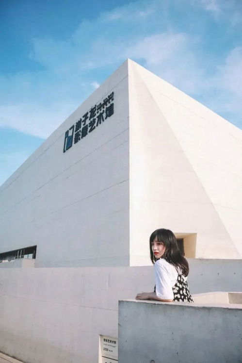 !斗兽棋的绝妙玩法,让你爱不释手!