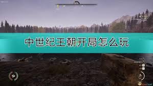 “中世纪王朝新手必看:全面攻略助你快速上手!”