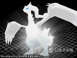 《口袋妖怪黑白:全面攻略与玩法图文指南》