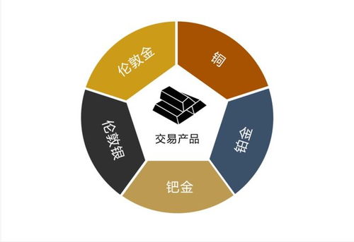 提升企业合规性：策略与实践指南