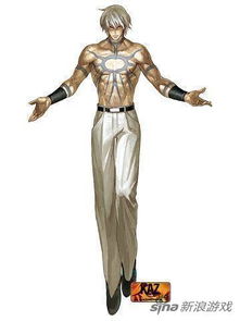 《大蛇八杰集:拳皇二十年才明白的必杀技之谜》