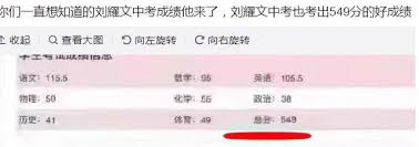 刘耀文中考成绩揭晓
