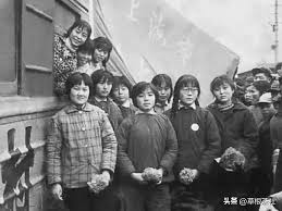 上海知青的含义