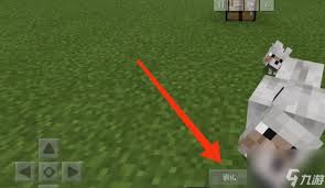 《我的世界》驯服狼秘籍:掌握高效驯服技巧