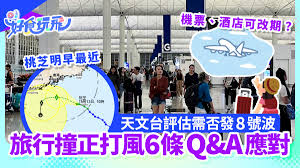 撞号是什么？网络用语中的神秘现象