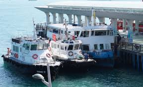 撞号是什么?网络用语中的神秘现象