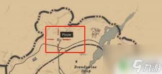 荒野大镖客2：舞菇宝藏地，蘑菇采集指南大全！