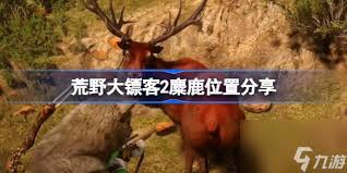 《荒野大镖客2》:舞菇宝藏地,蘑菇采集指南大全!