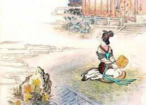 秋夕古诗解析与意境欣赏