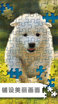 2024超有趣九宫格拼图游戏APP大盘点