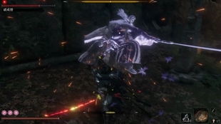 只狼:破戒僧位置指南