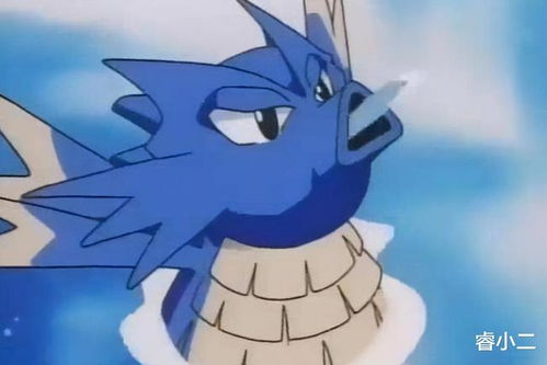 如何让海刺龙进化为刺龙王