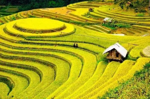 梯田弯曲闪耀银光的含义是什么