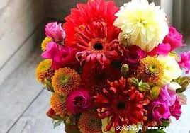 仪式感转账:从1到10的特别传递方式