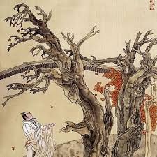 自挂东南枝:探究古诗词中的隐秘文化含义