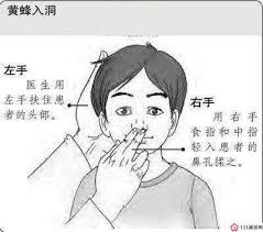 丰年经继拇中文2：高效使用技巧大