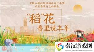 丰年经继拇中文2:高效使用技巧大