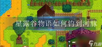 星露谷物语：高价值鱼类钓点全攻略——河豚、鳀鱼、金枪鱼一网打尽！