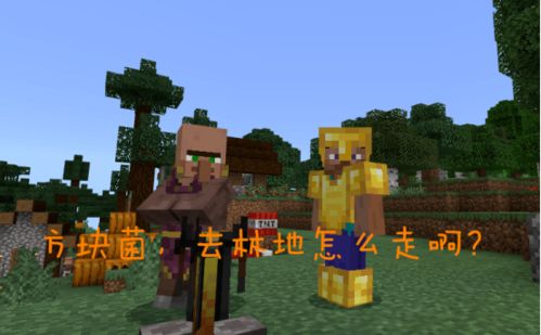 林地府邸的神秘指令是什么?