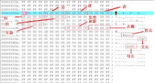 虚拟村庄2新手入门？这份详细攻略让你成为游戏高手