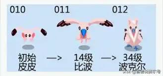 赛尔号闪光波克尔超进化解锁全新技能，战力飙升指南