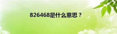 探索8426468网络语的真正含义与使用场景