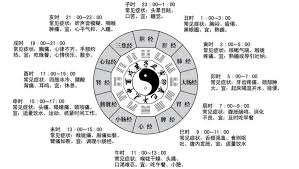 辰巳年——这一神秘年份究竟何时降临？