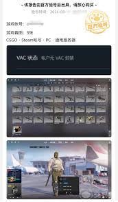 CSGO饰品交易，推荐哪款账号交易平台软件？