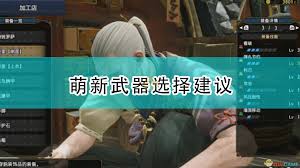 怪物猎人：如何选择最适合你的携带武器