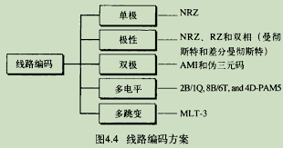 双相编码与FMO编码深度解析