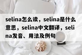 Sellina：探索其背后的意义与价