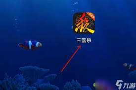 如何查看游卡通行证