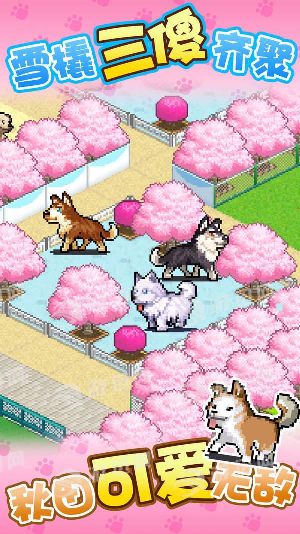 发现狗狗乐园游戏5