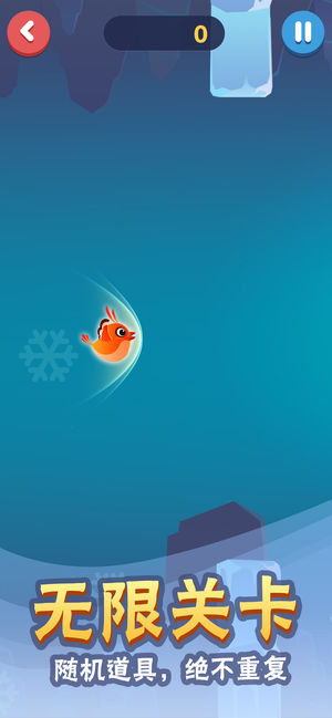 菜鸟历险记最新版1