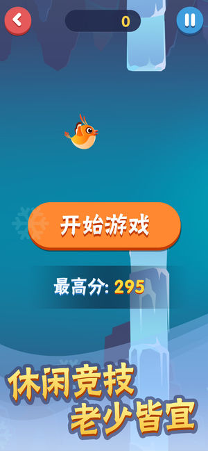 菜鸟历险记最新版3